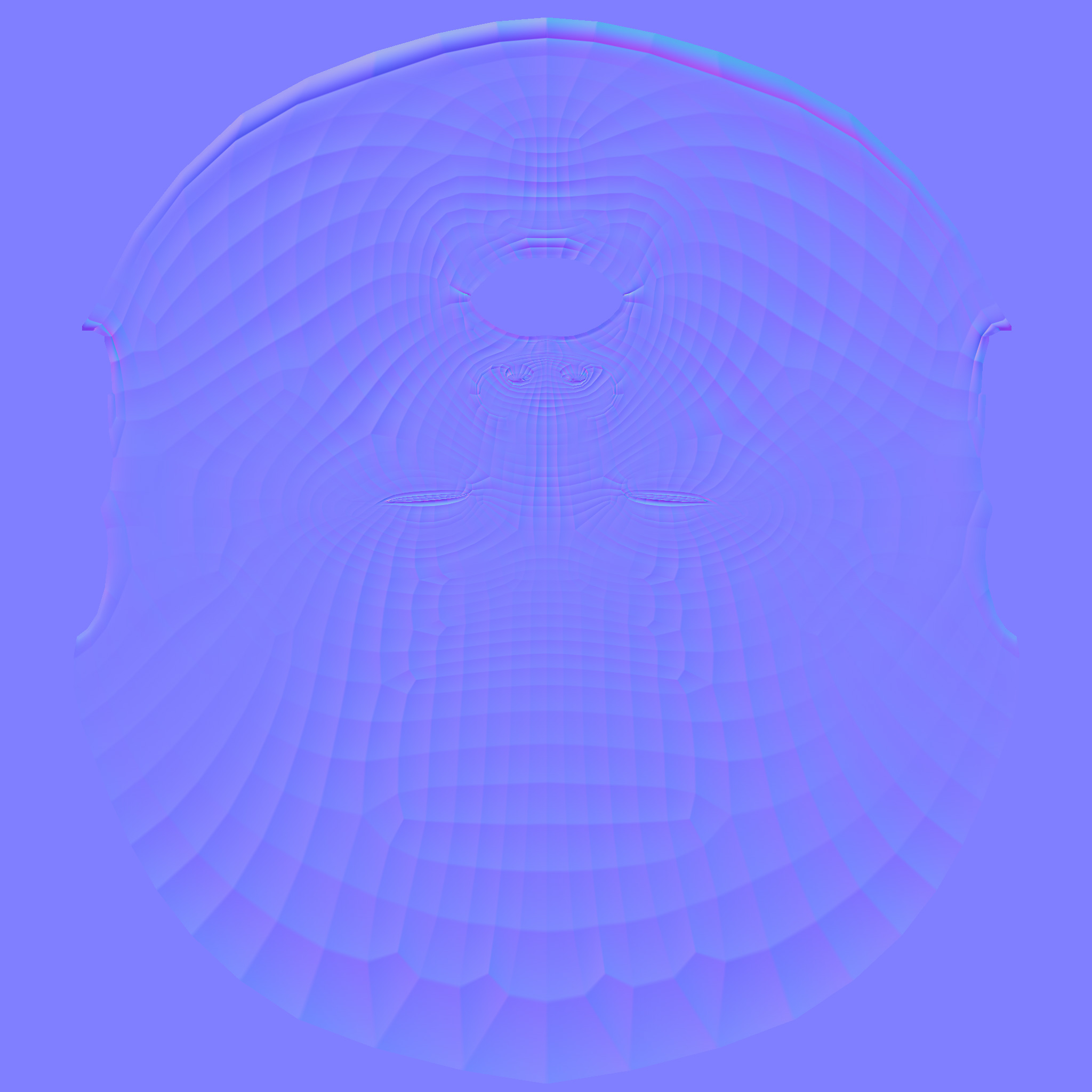 face-normal-vert-reduced.jpg