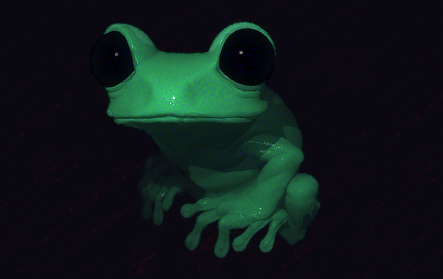 NPR Frog2.jpg