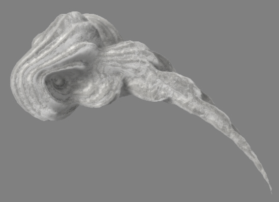 XenoDream_3D_Fractal_Seashell_ZB2_2.jpg