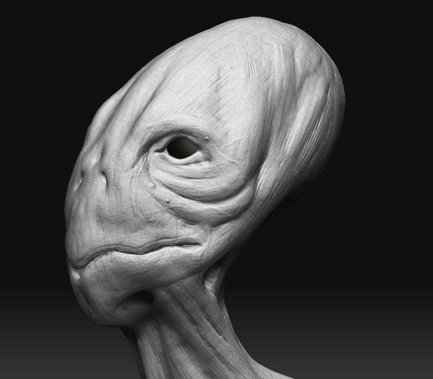 head.jpg
