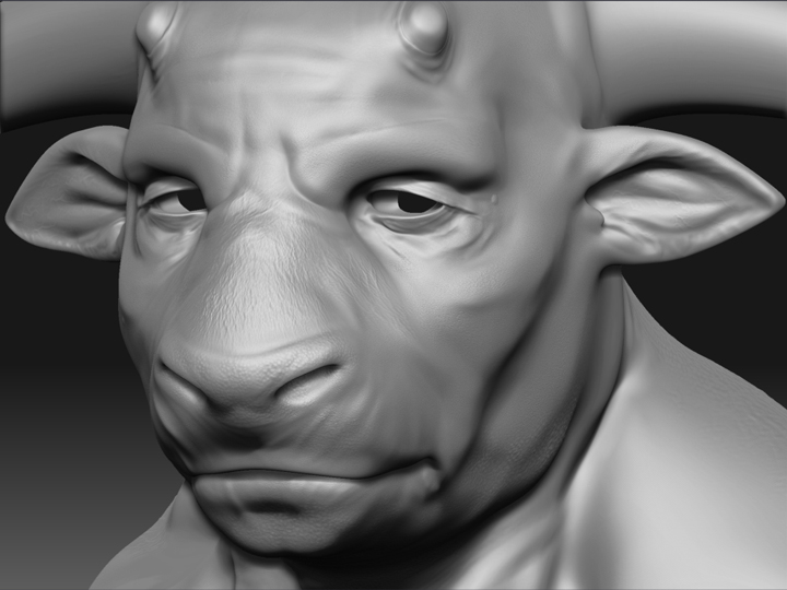 Head.jpg
