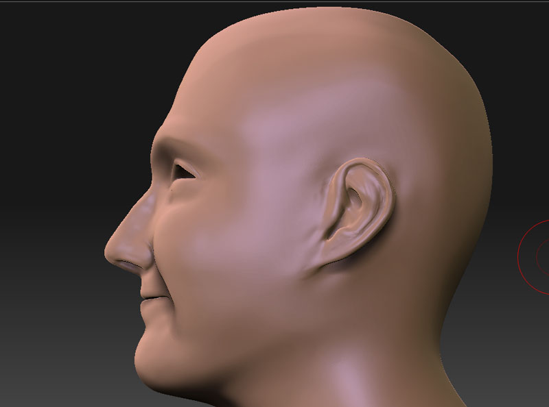 WIP_03c.jpg