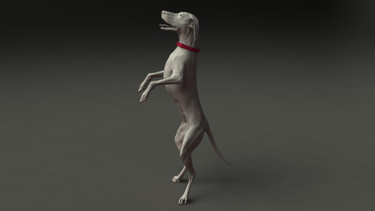 DogMayaRender2.jpg