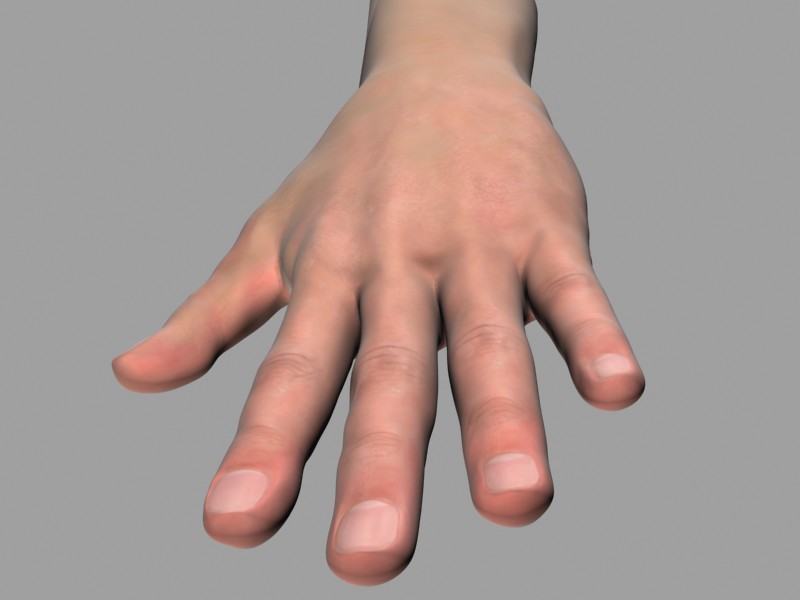 Hand_Render1.jpg