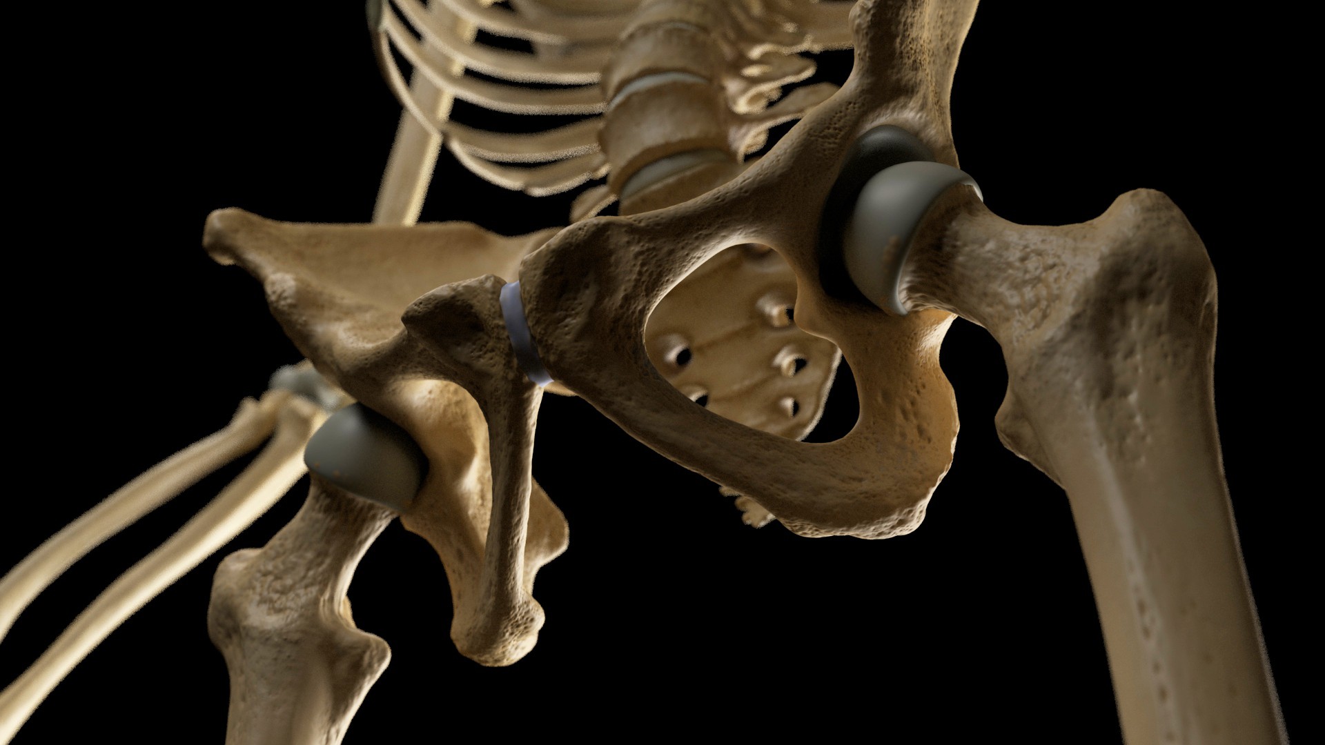 Skeleton_2_edit.jpg
