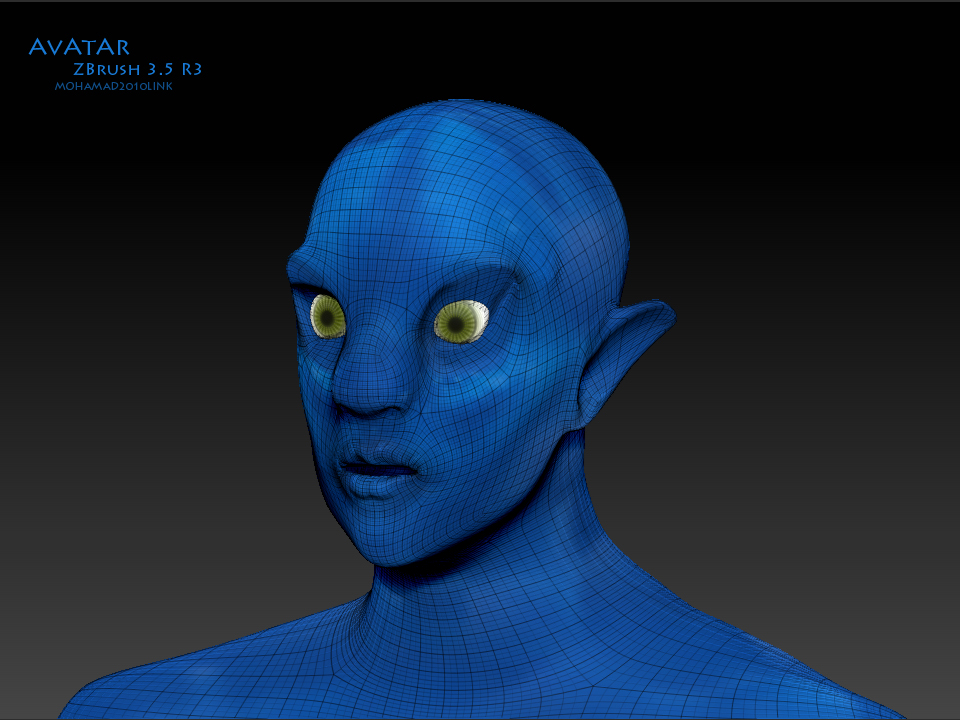 avatar sculpting.jpg