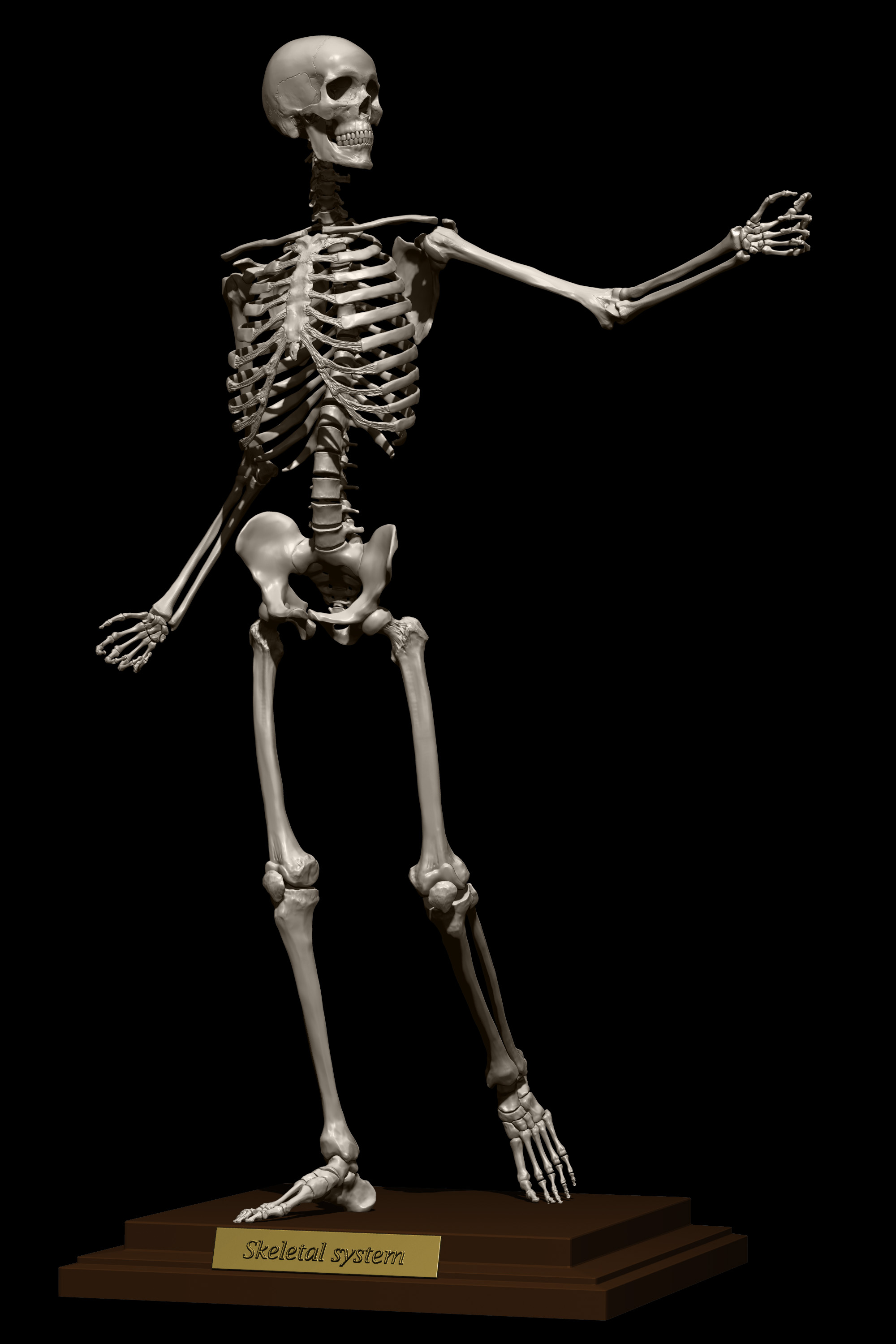 fin_01.jpg