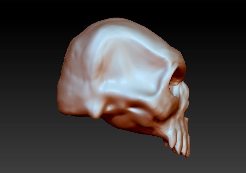 creaneo2.jpg