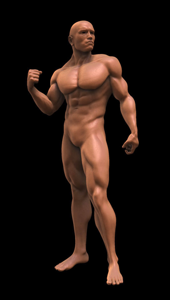 A1.jpg