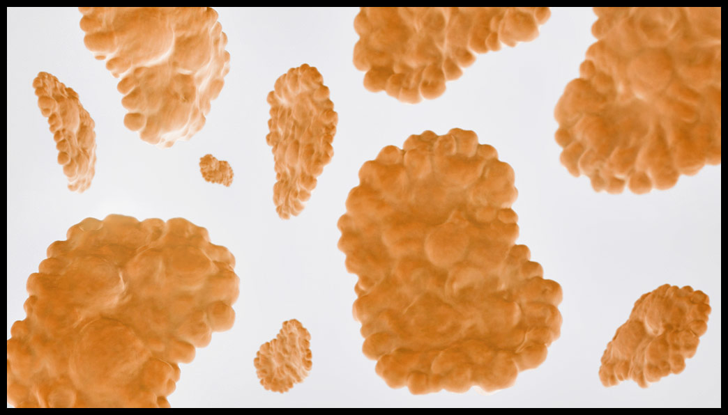 ley_flakes_layout05crop.jpg