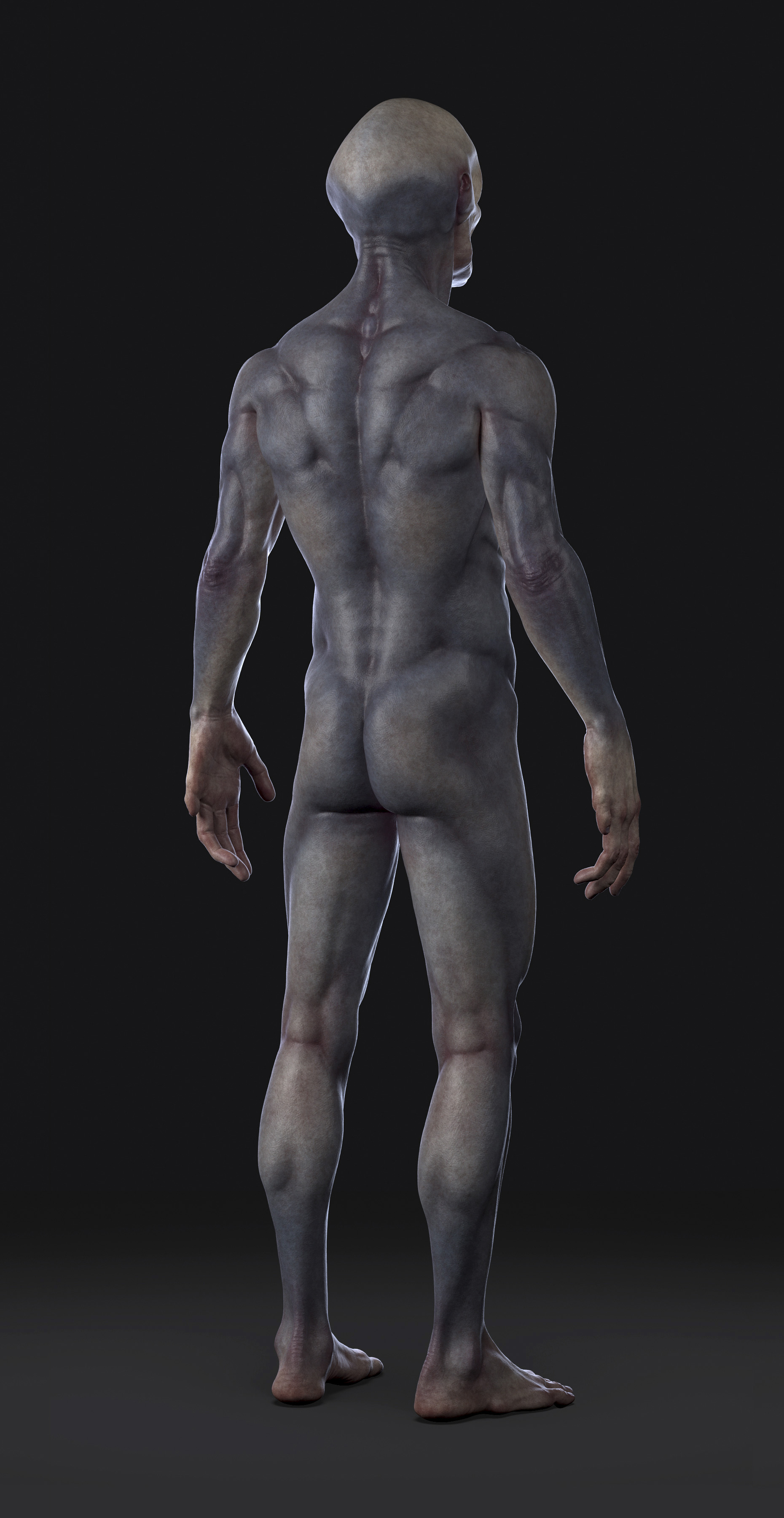 ZC_04.jpg