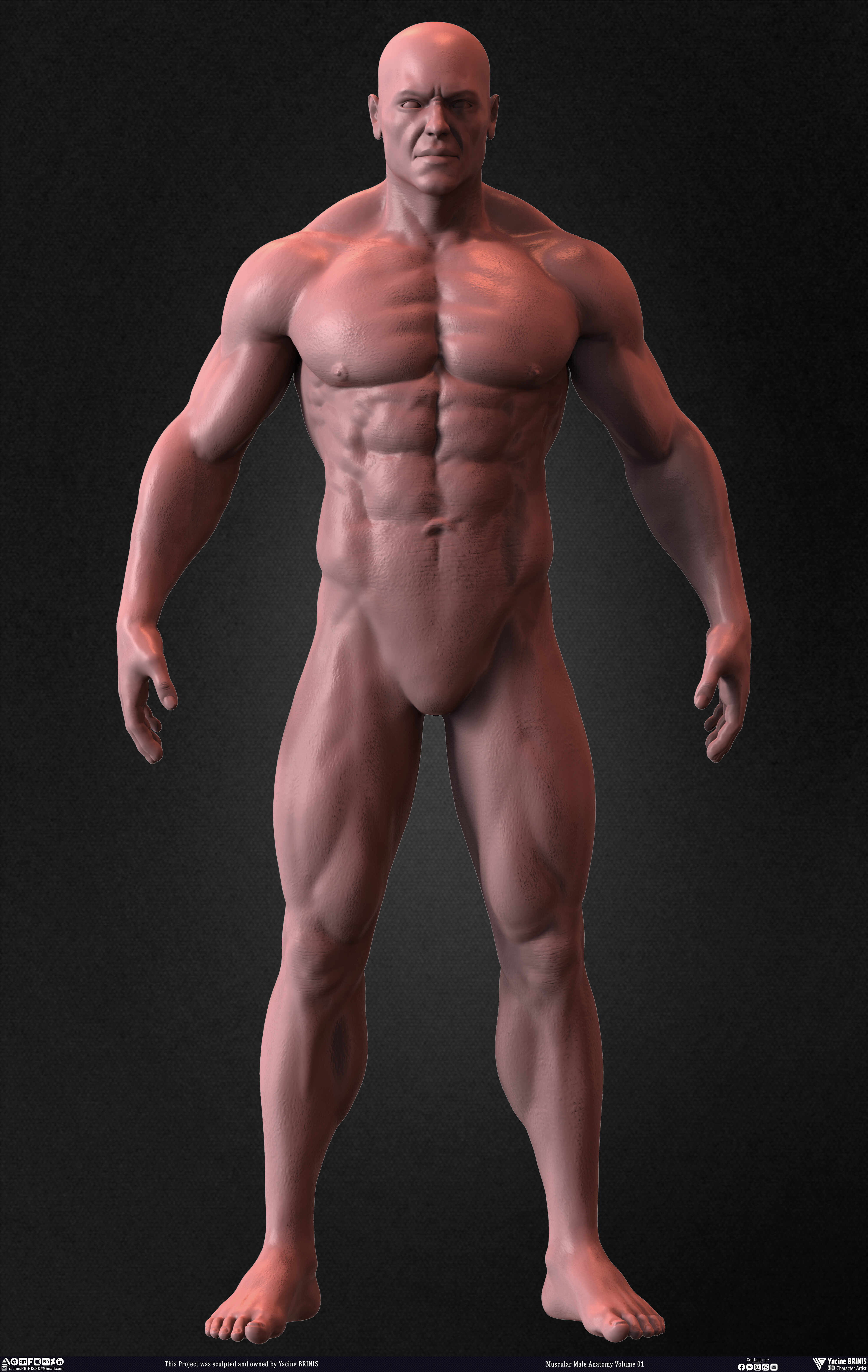 Muscular Male Anatomy 3D Character sculpted by Yacine BRINIS 016