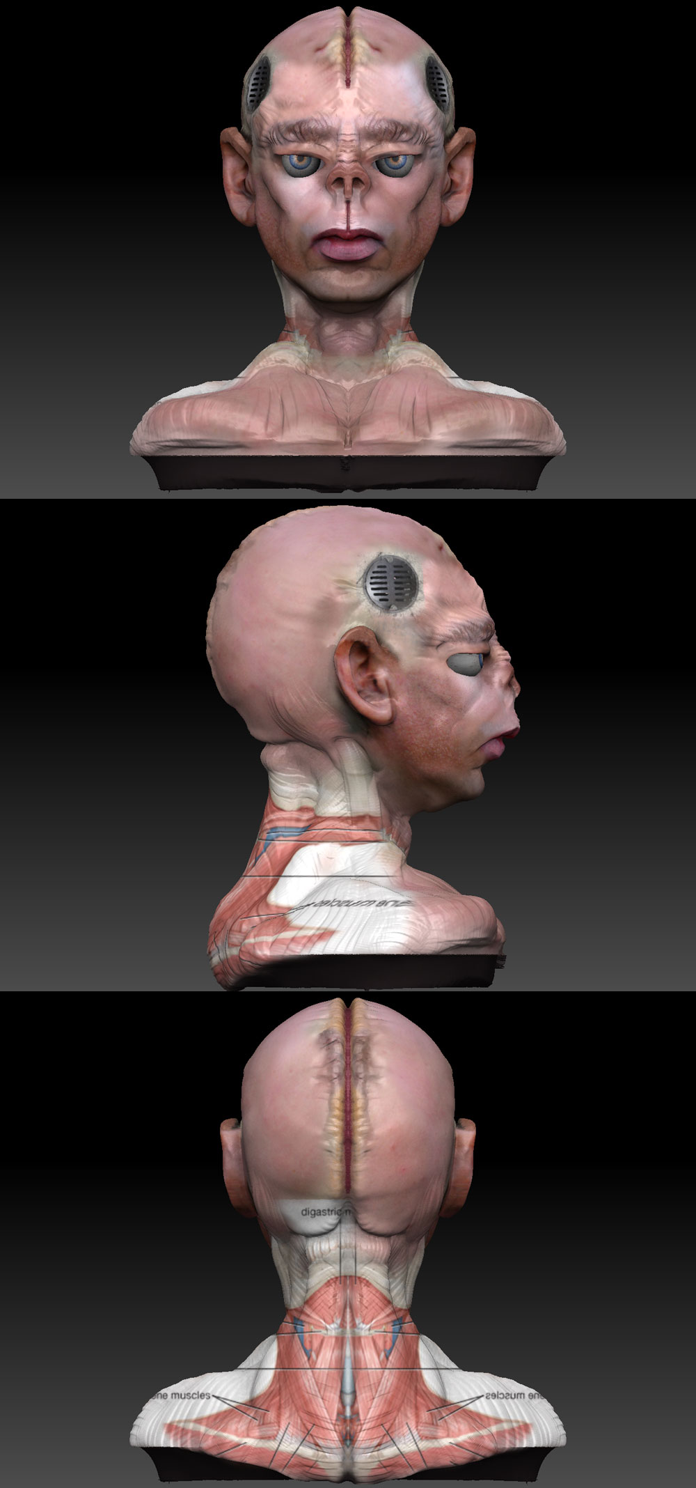 head4-texture.jpg