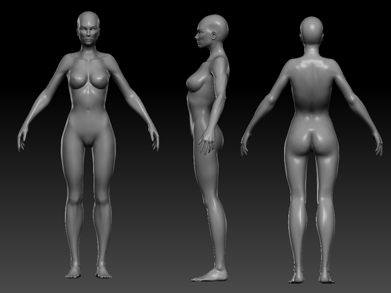 Female_Mesh.jpg