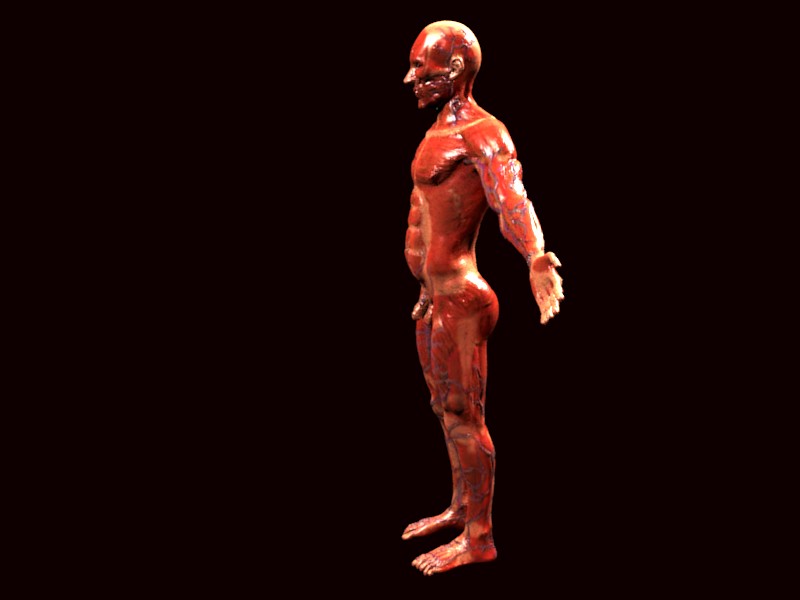 sideskinned.jpg
