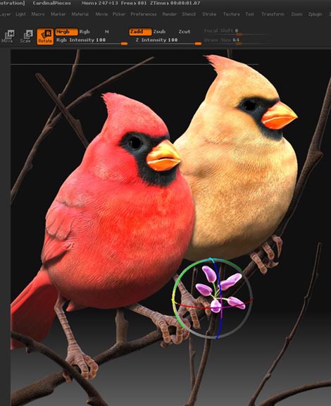 RedbudPlacement.jpg