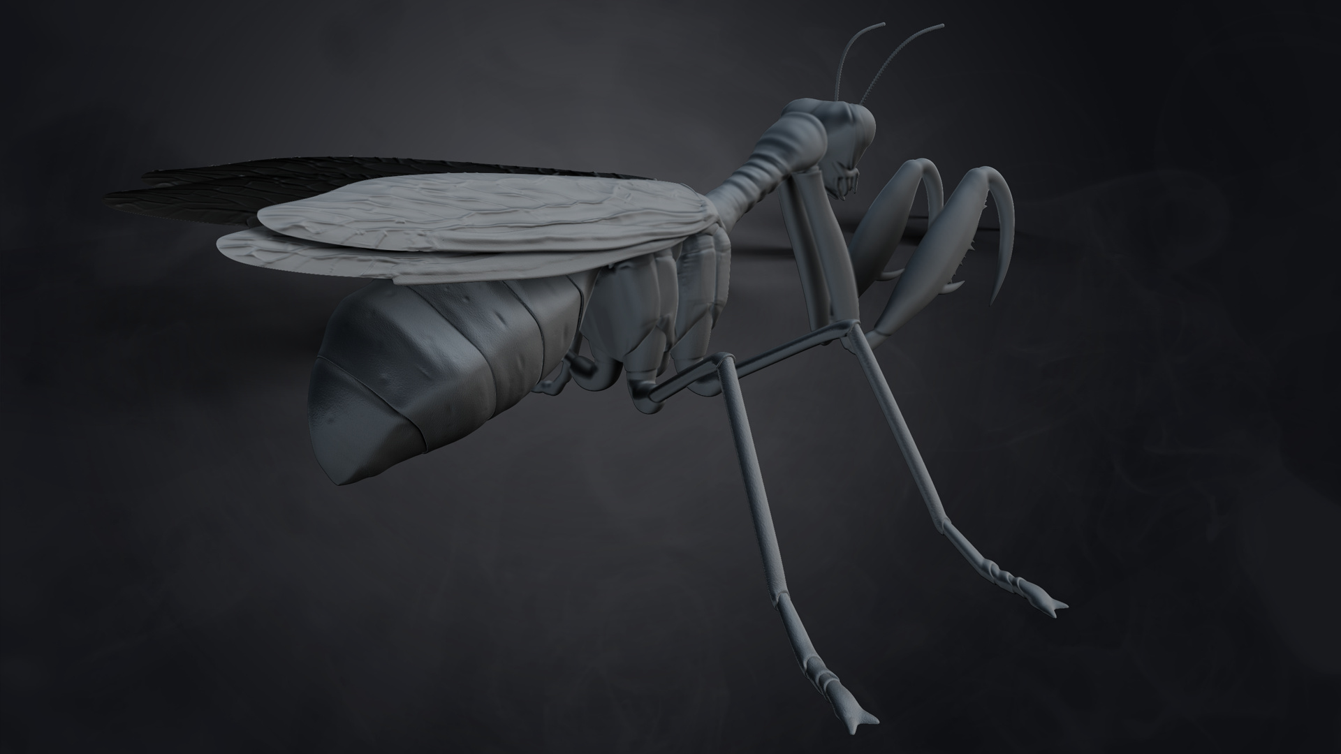 Mantidfly_Three_quarter_back.jpg