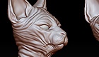 CATz.jpg