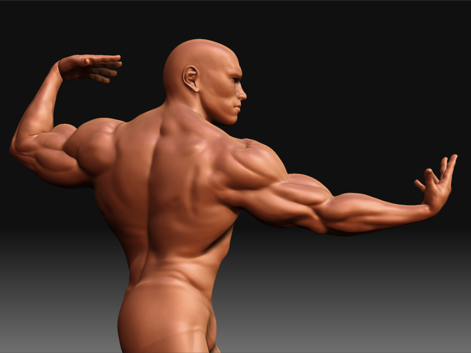 Arnold4.jpg