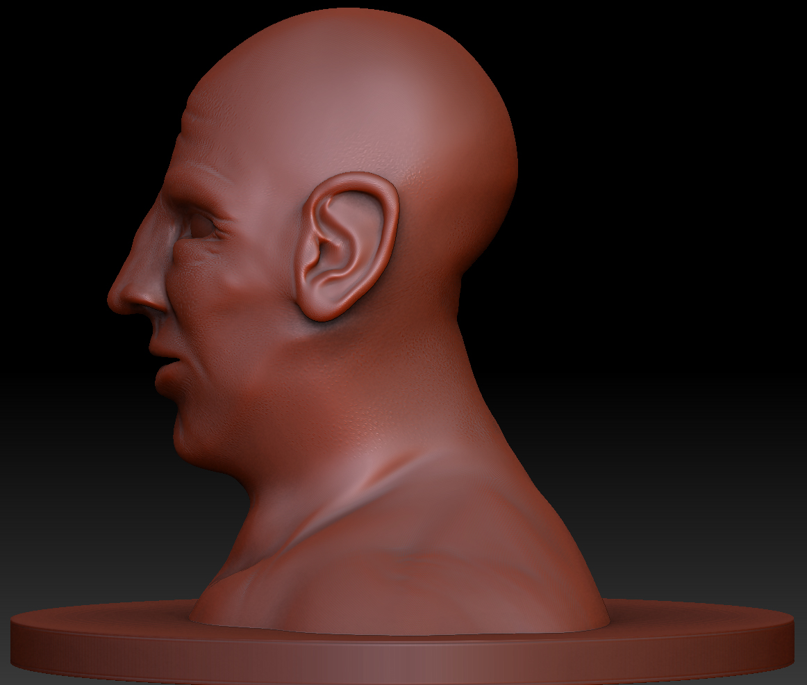 head skulpt 3.jpg