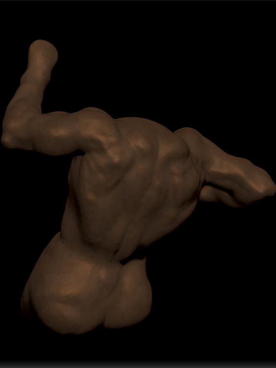 FIFTH TORSO SCULPTRIS 1.jpg