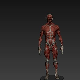zbrushmodel.JPG