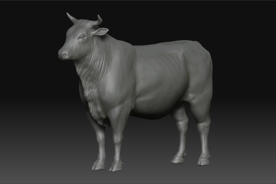 ox_01.jpg