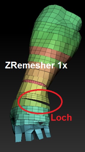 ZRemesher1x_tpc1.jpg