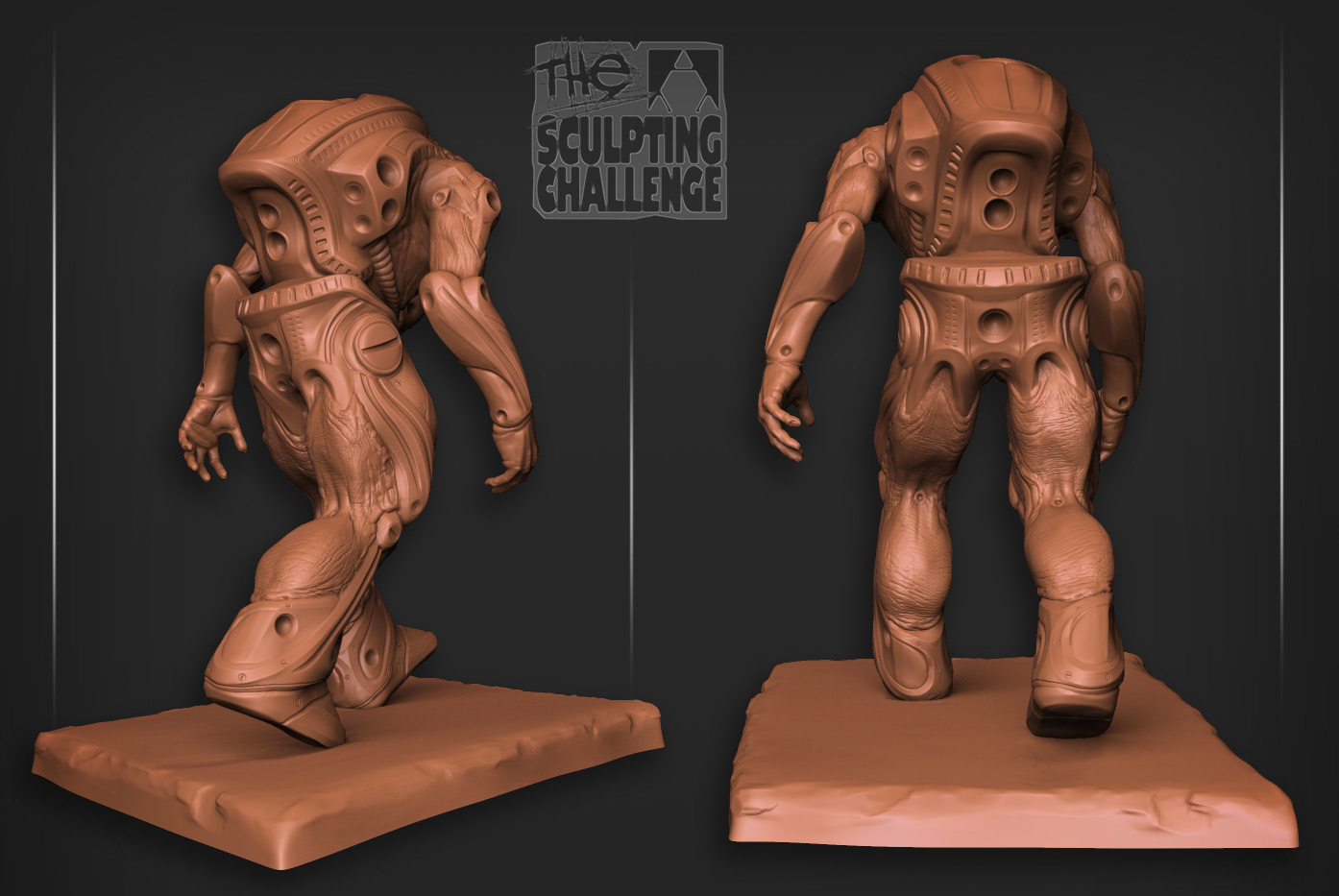 biomech_jrs05.jpg