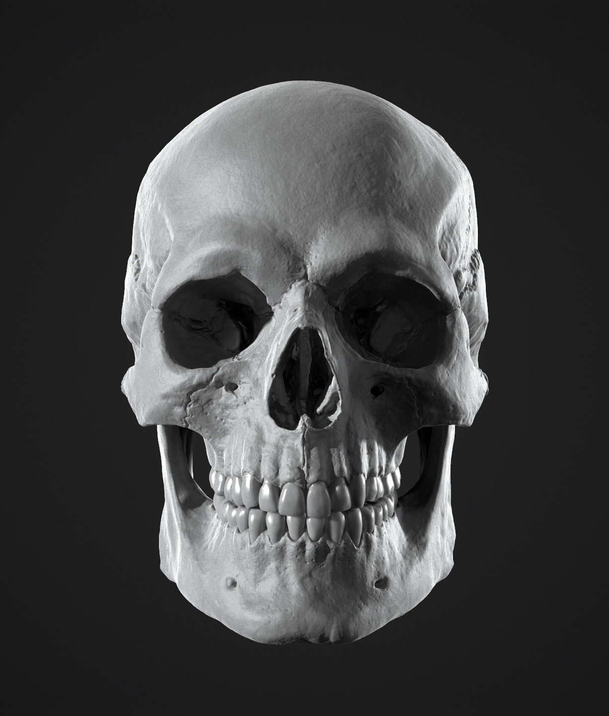 skull002.jpg