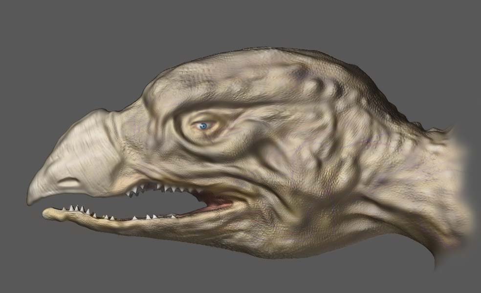 skeksi-small.jpg