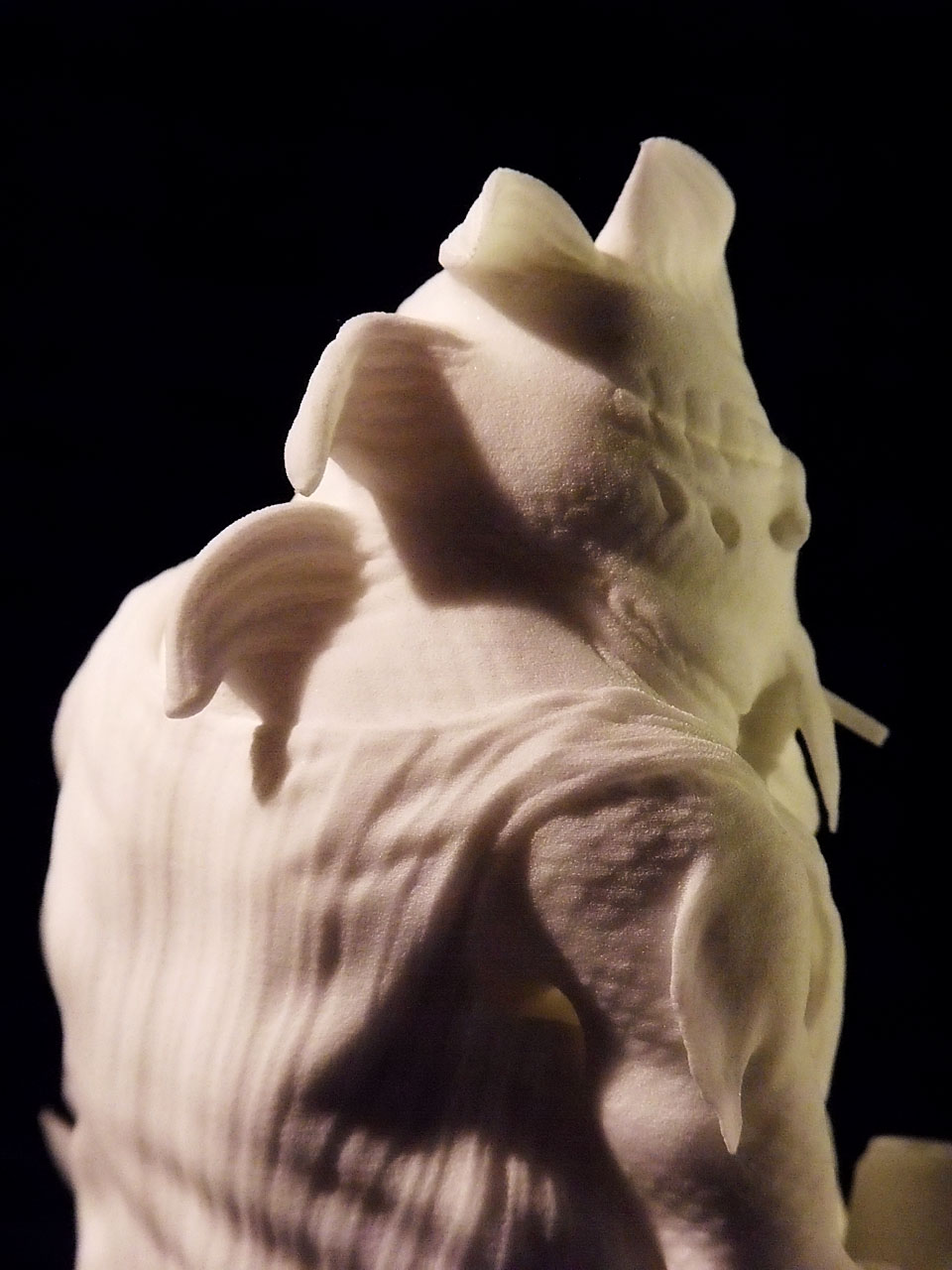 BackDetails.jpg