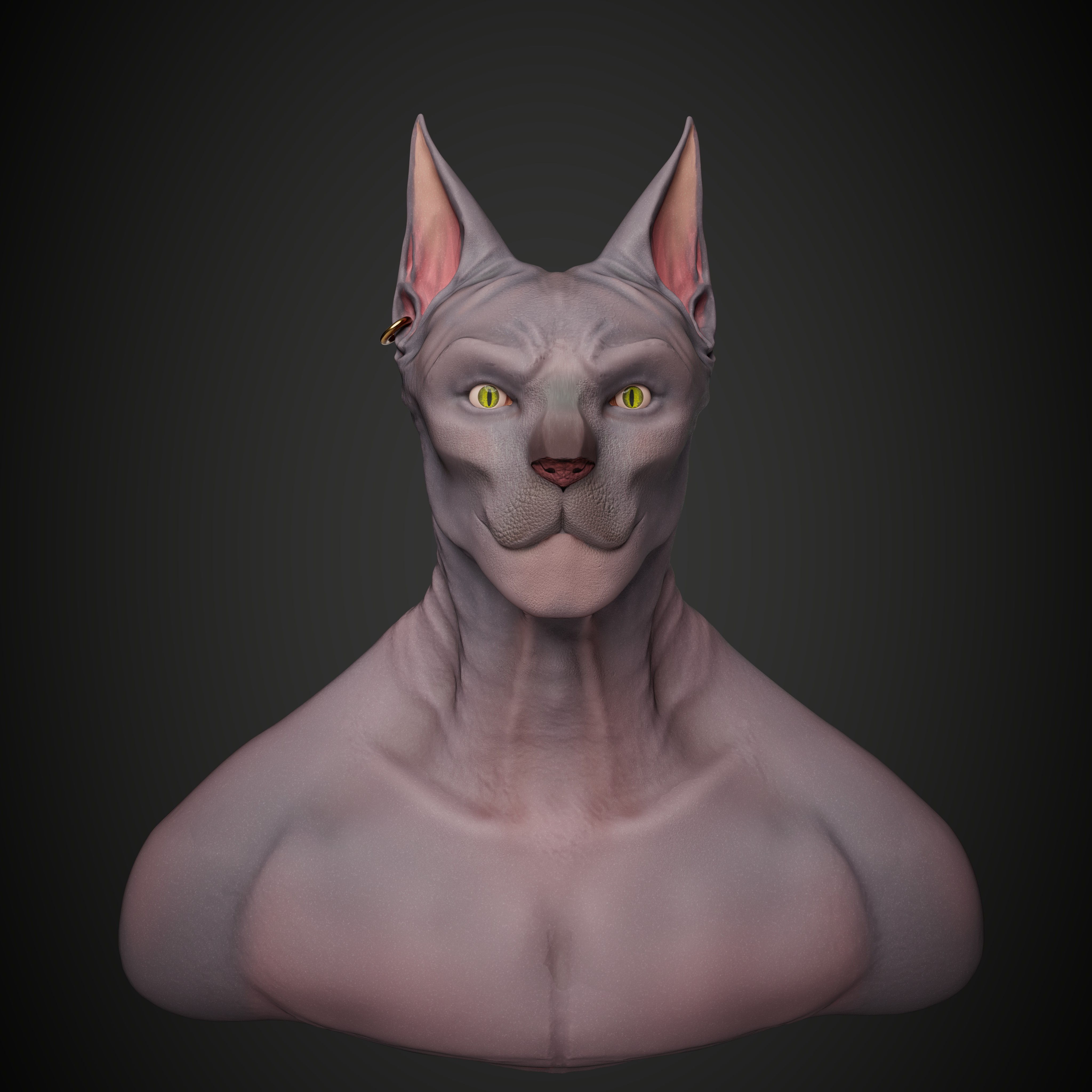 cat front