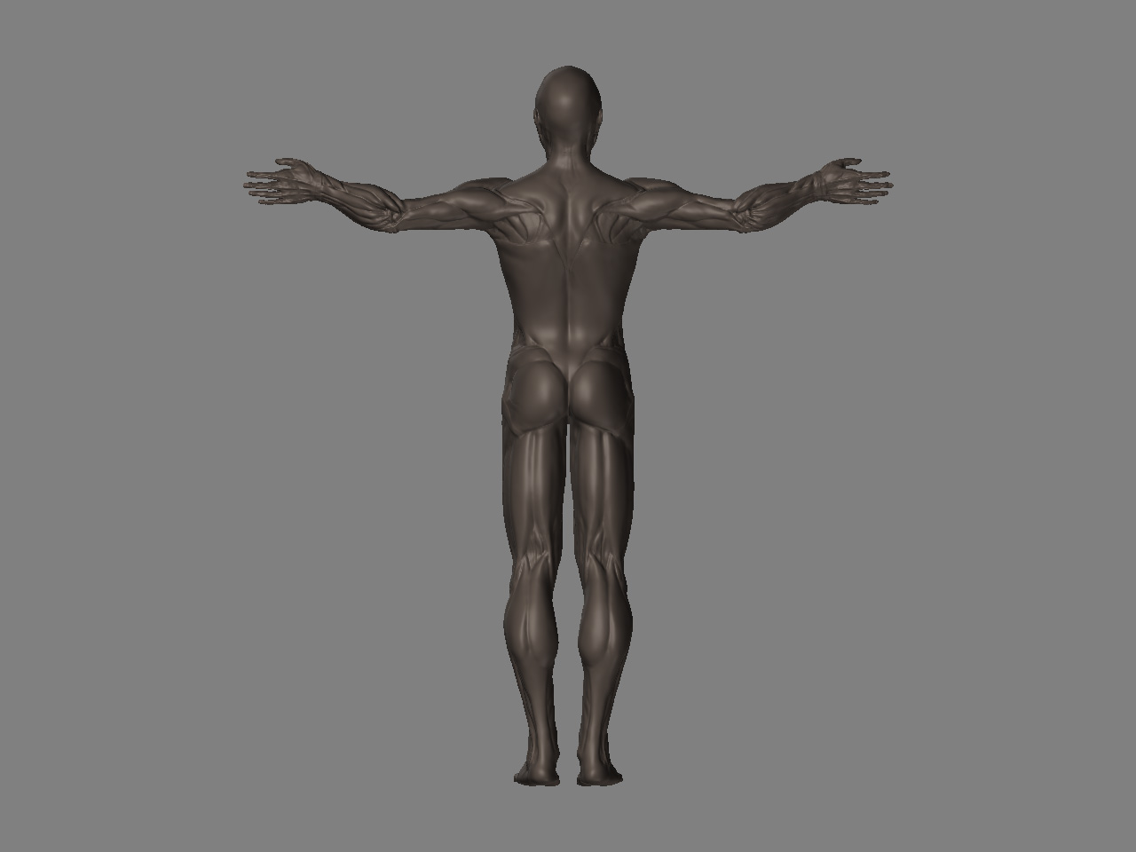 Back.jpg