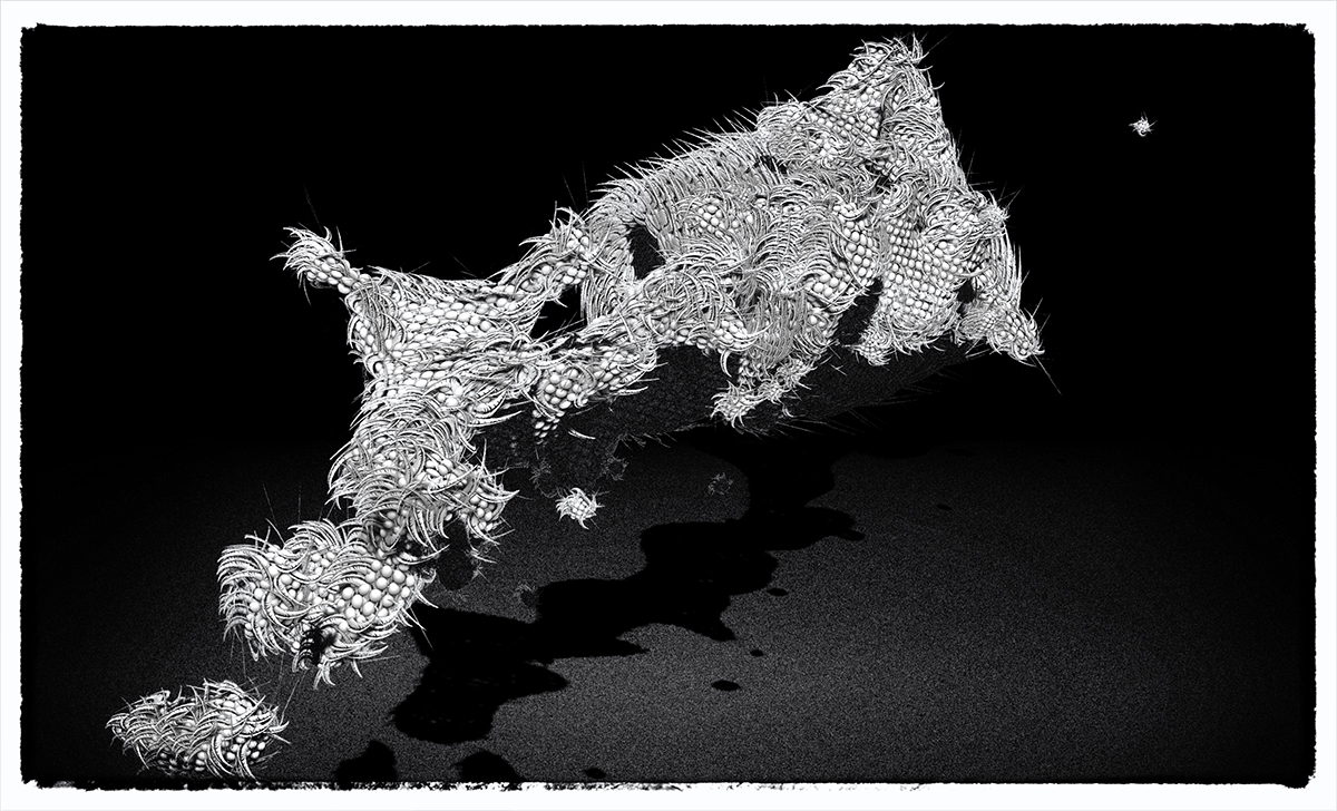 fabric2.jpg