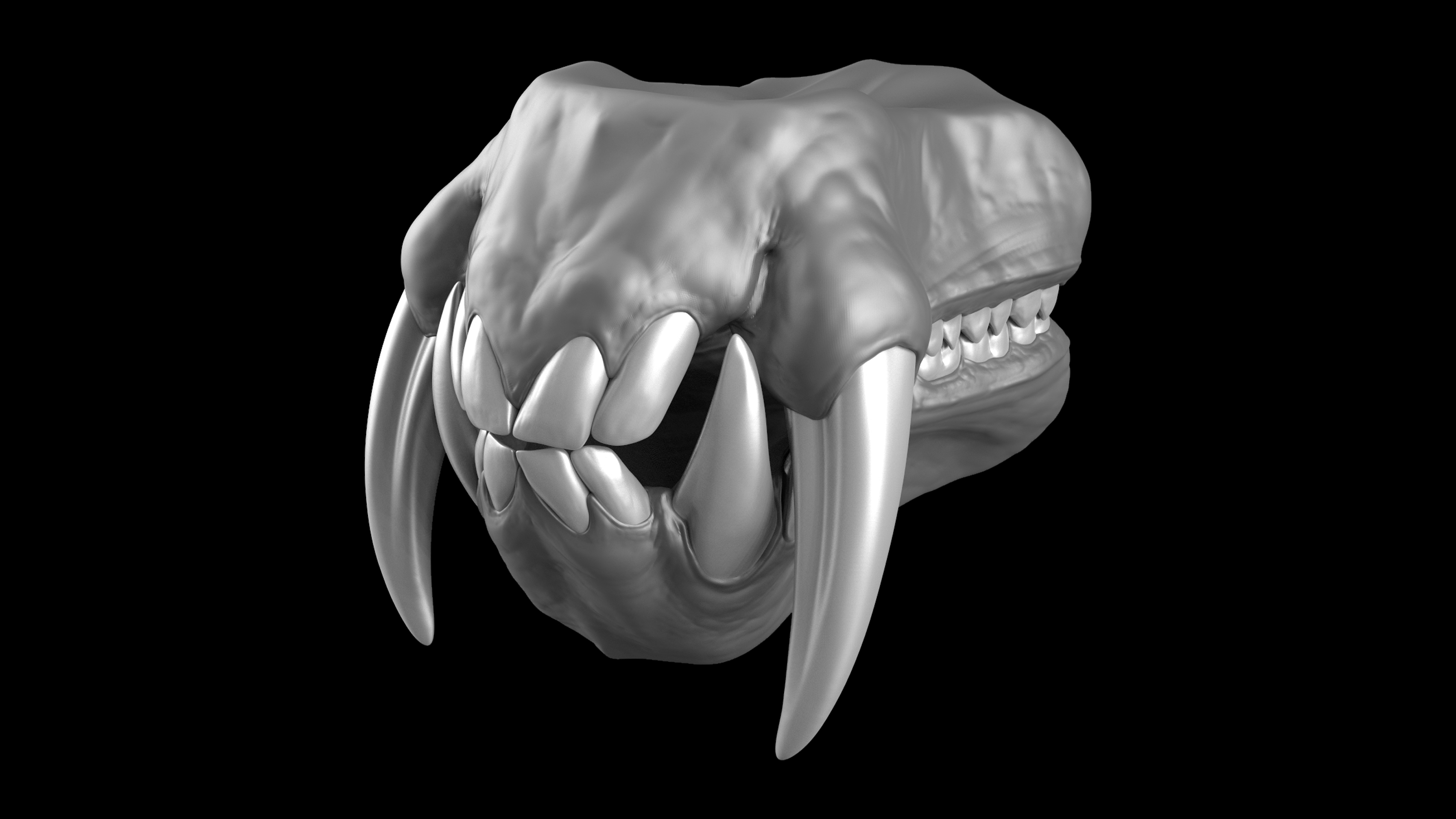 Teeth_Kits_Master_Views_Mandrill_01.jpg