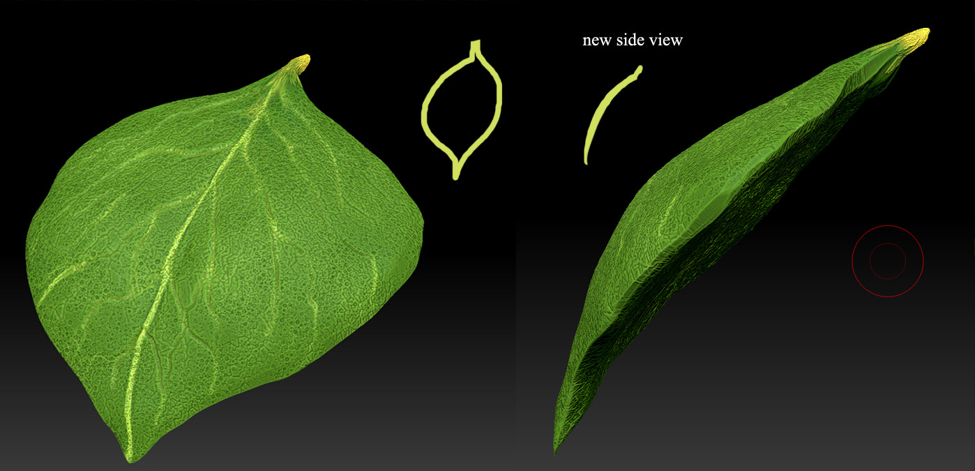 How do I make a leaf paper thin? - ZBrushCentral