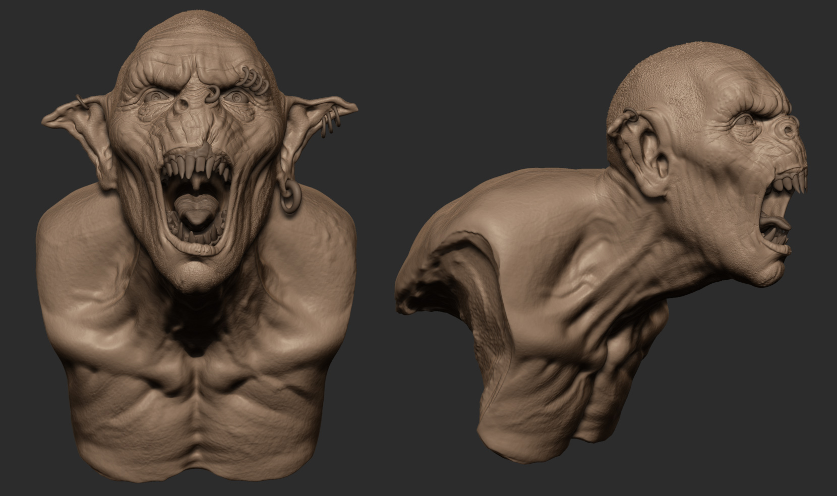 Sculpt-Views.jpg