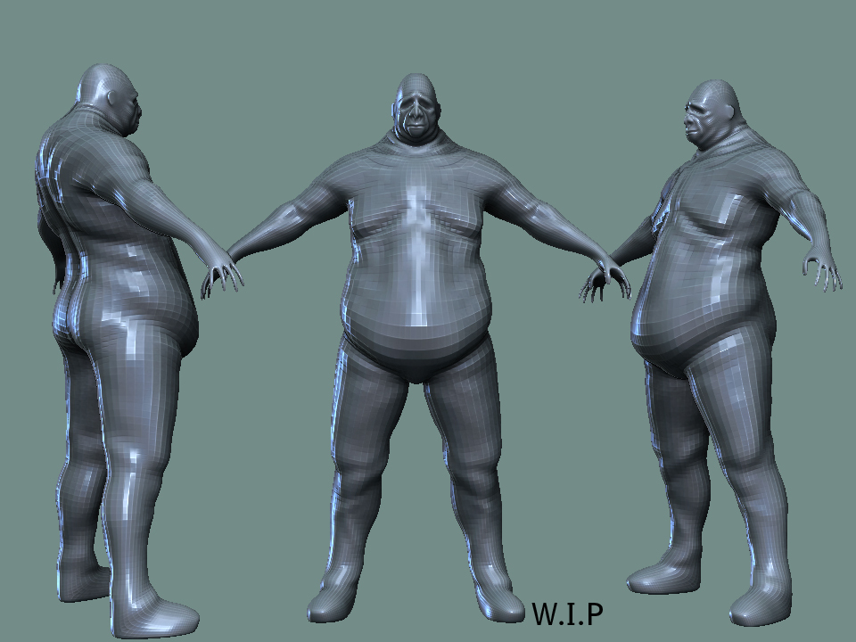 fatsowip.jpg