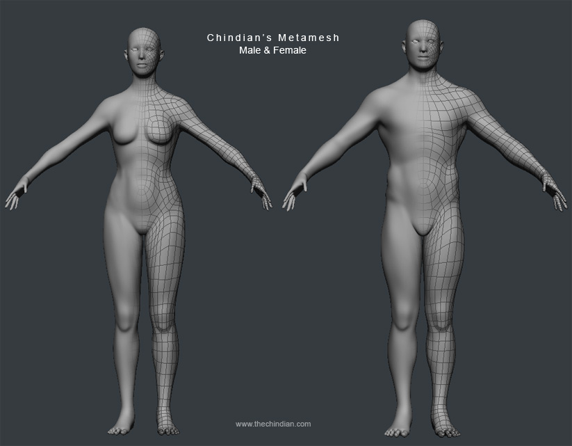 metamesh_humans.jpg