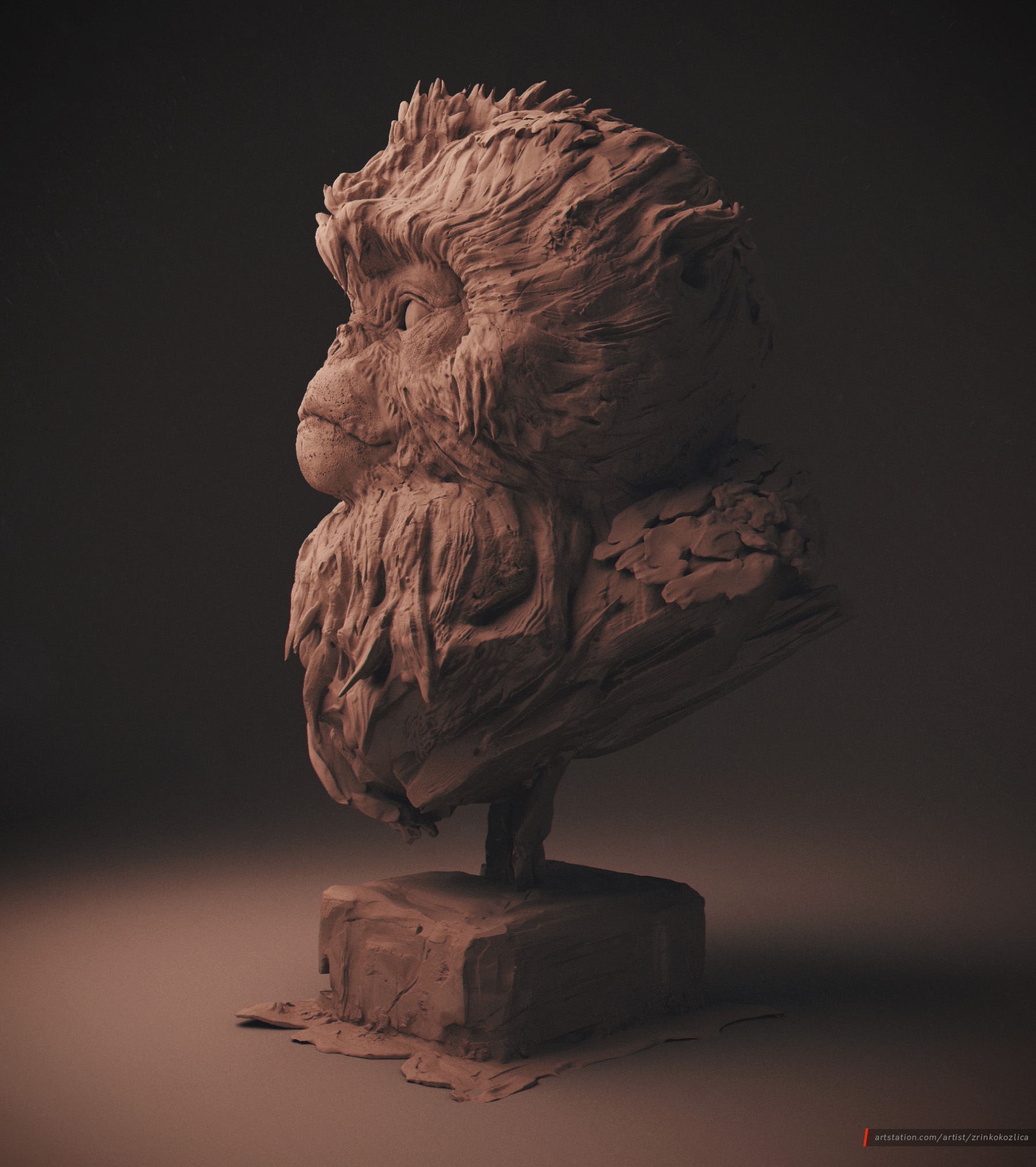 MonkeyShot03_Beauty.jpg