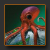 t_LittleNautilus.jpg