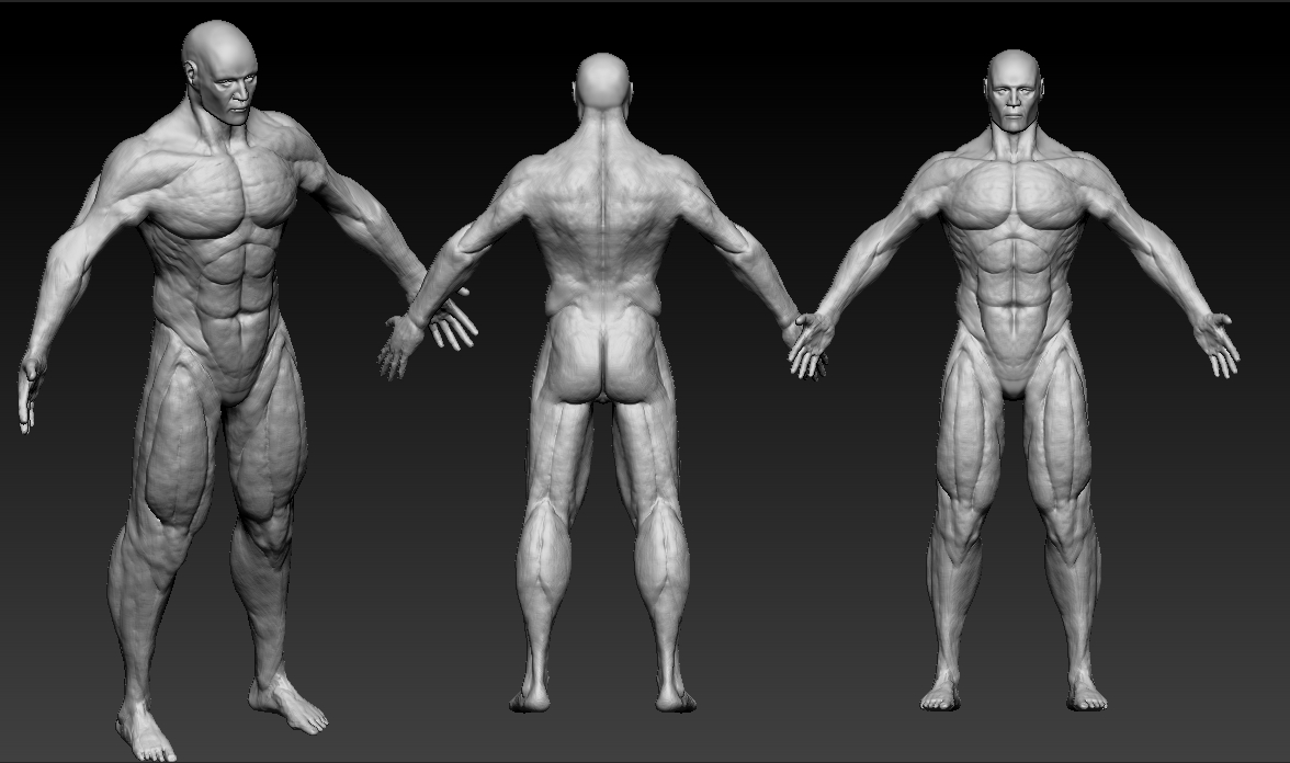 Body_03.jpg
