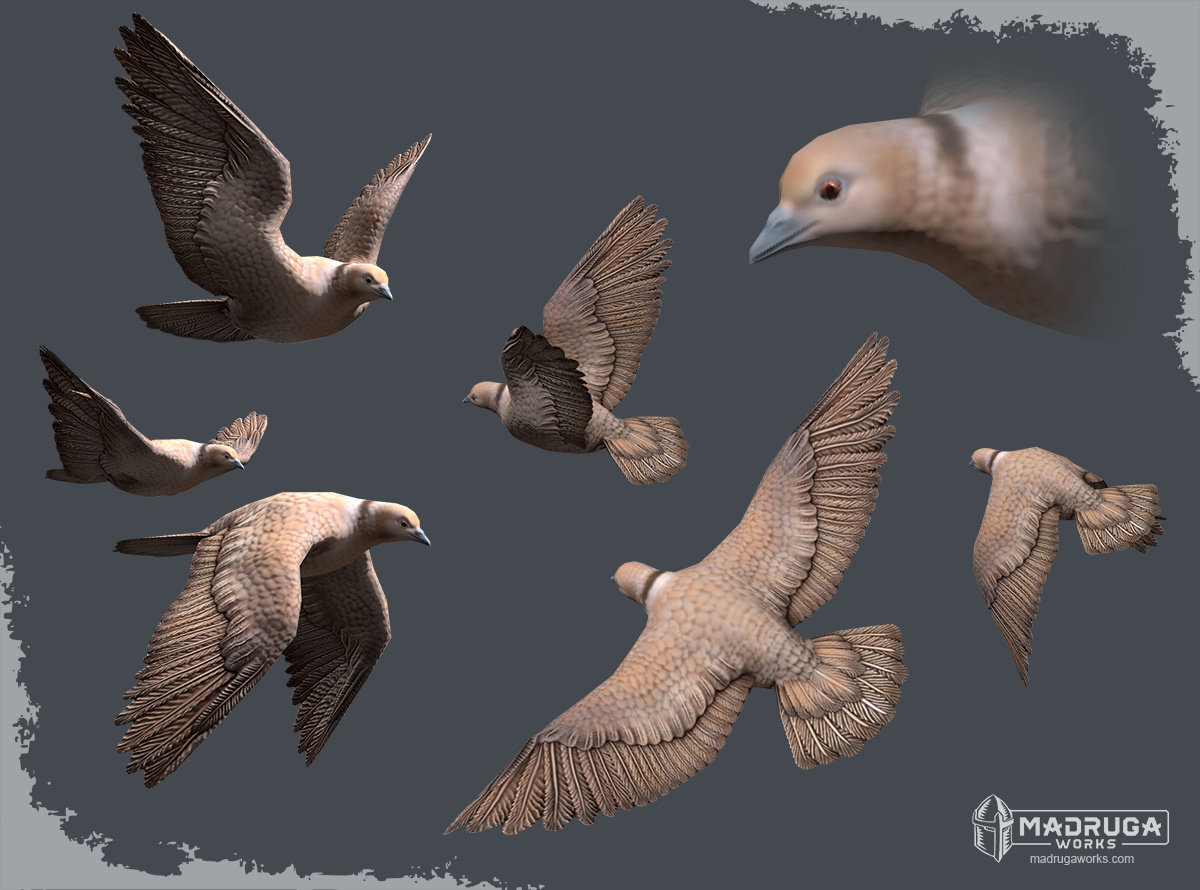 dove