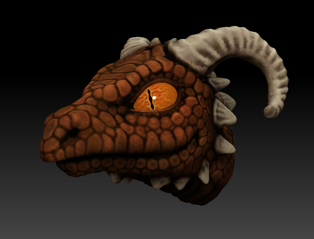 Lizard_Head_001.jpg