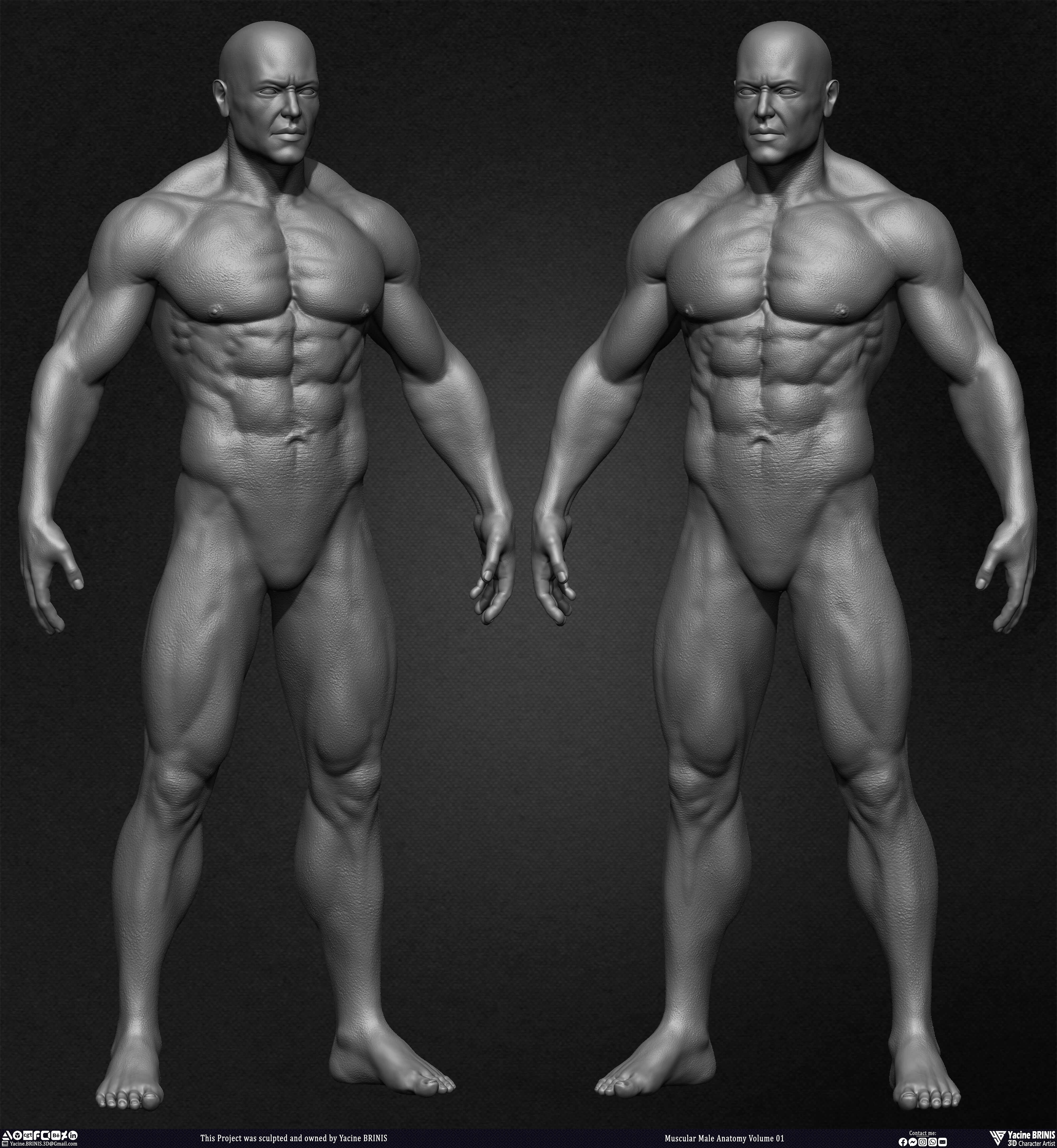 Muscular Male Anatomy 3D Character sculpted by Yacine BRINIS 013