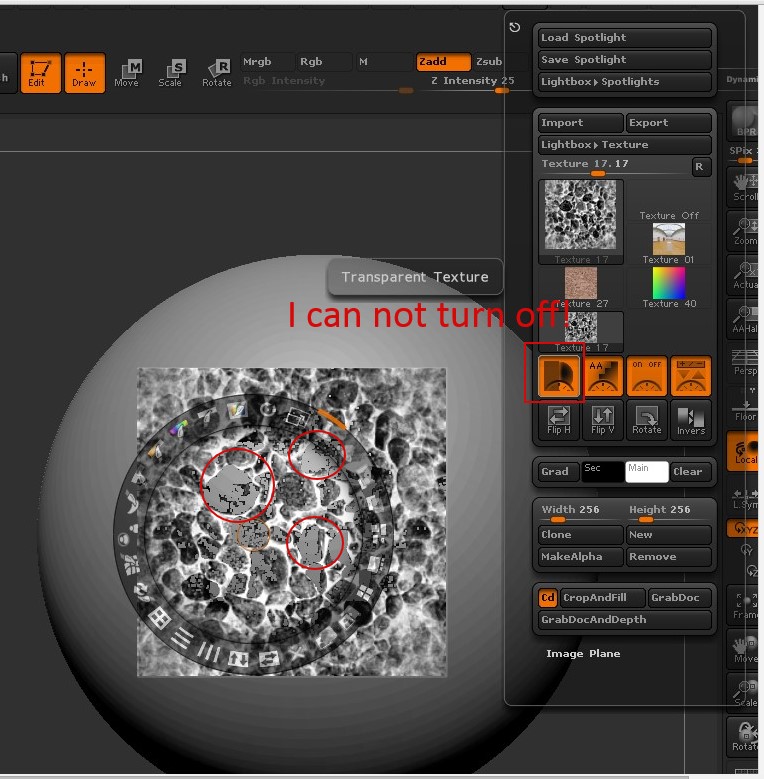 Zbrush.jpg