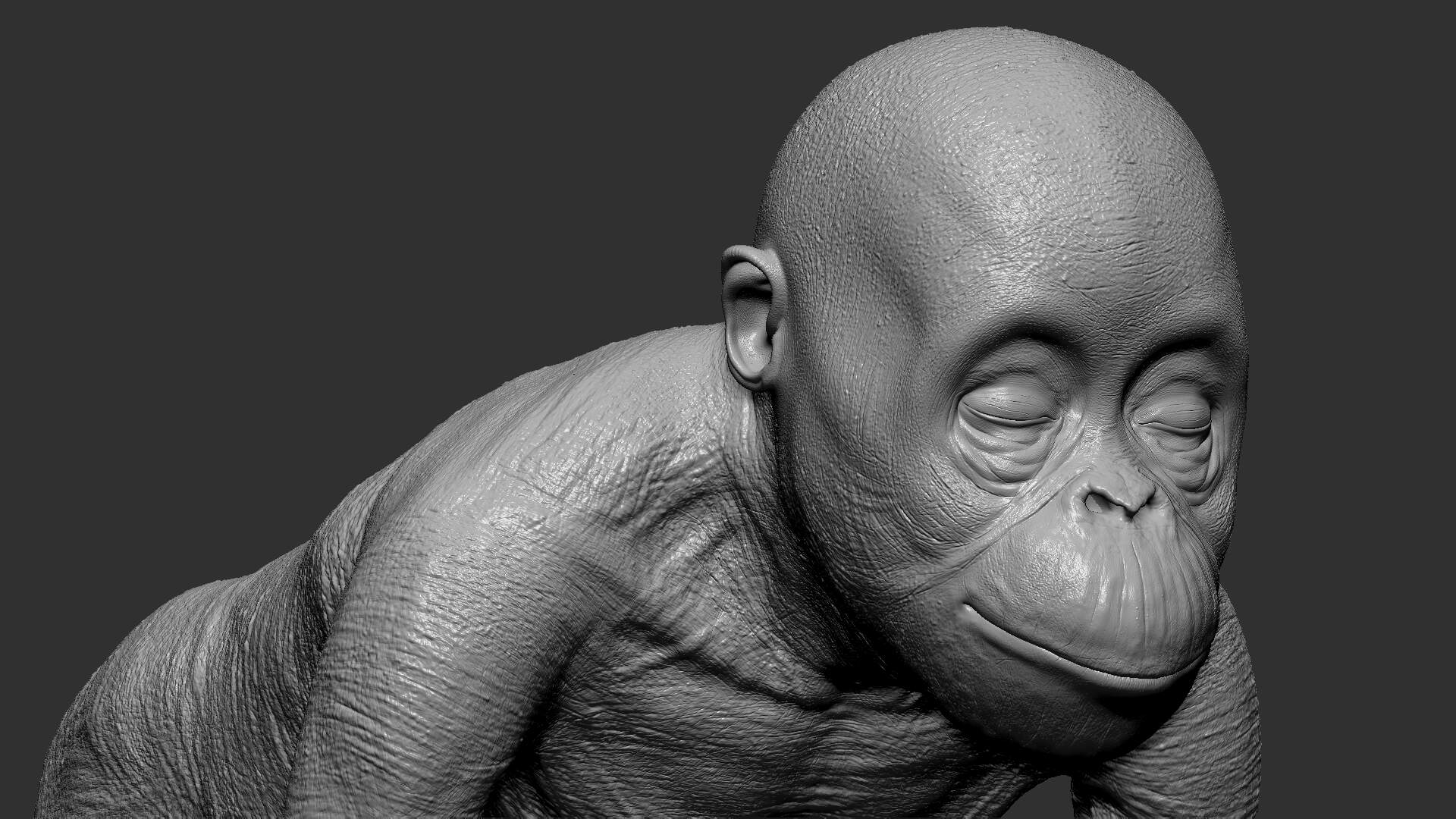 Orangutan_zbrush_close_4