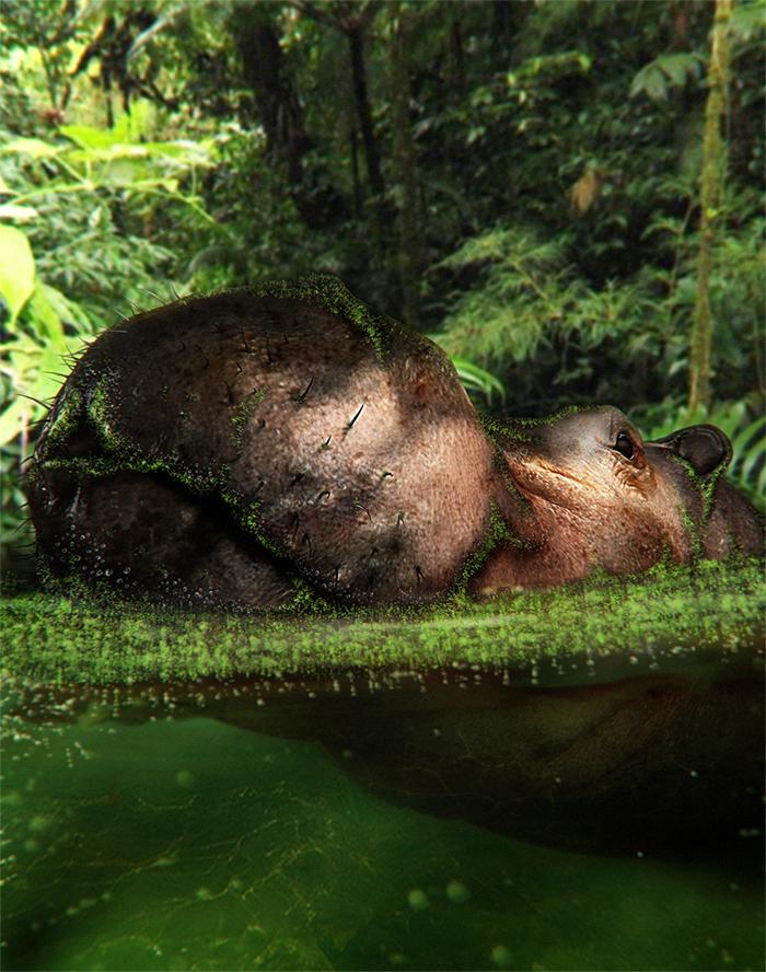 hippoinwaterzbrush.JPG