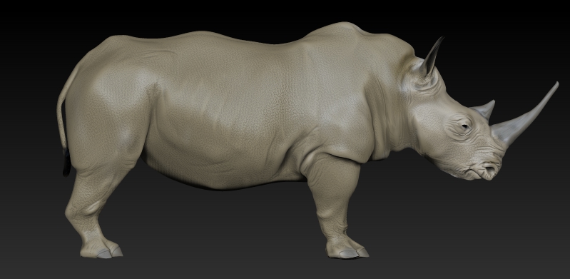 white_rhino.jpg